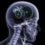 Preston Chiropractor: Easing Your Pain, Might Help Your Brain!