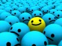 Take A Chance To Help Find Happiness – Preston Chiropractor Writes About The Pleasure Paradox