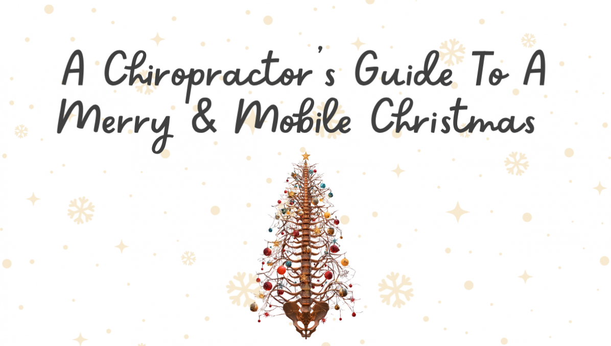 A chiro's guide title